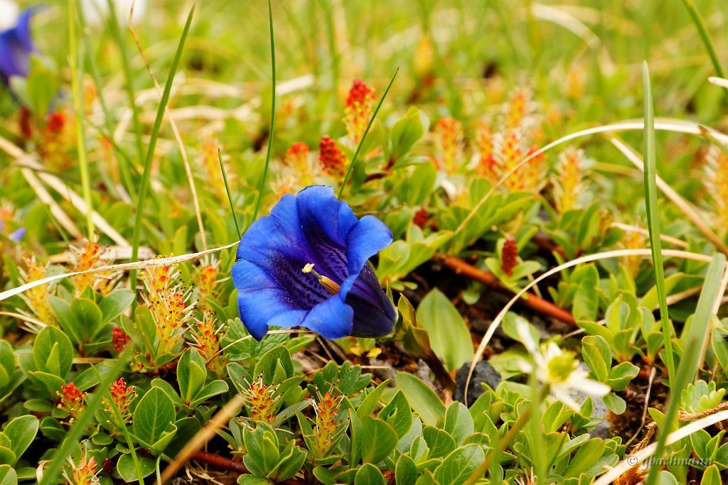 20090612_149_raw